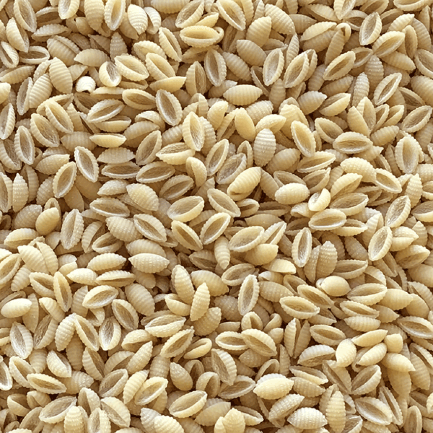 Organic White Malloreddos Pasta Shell