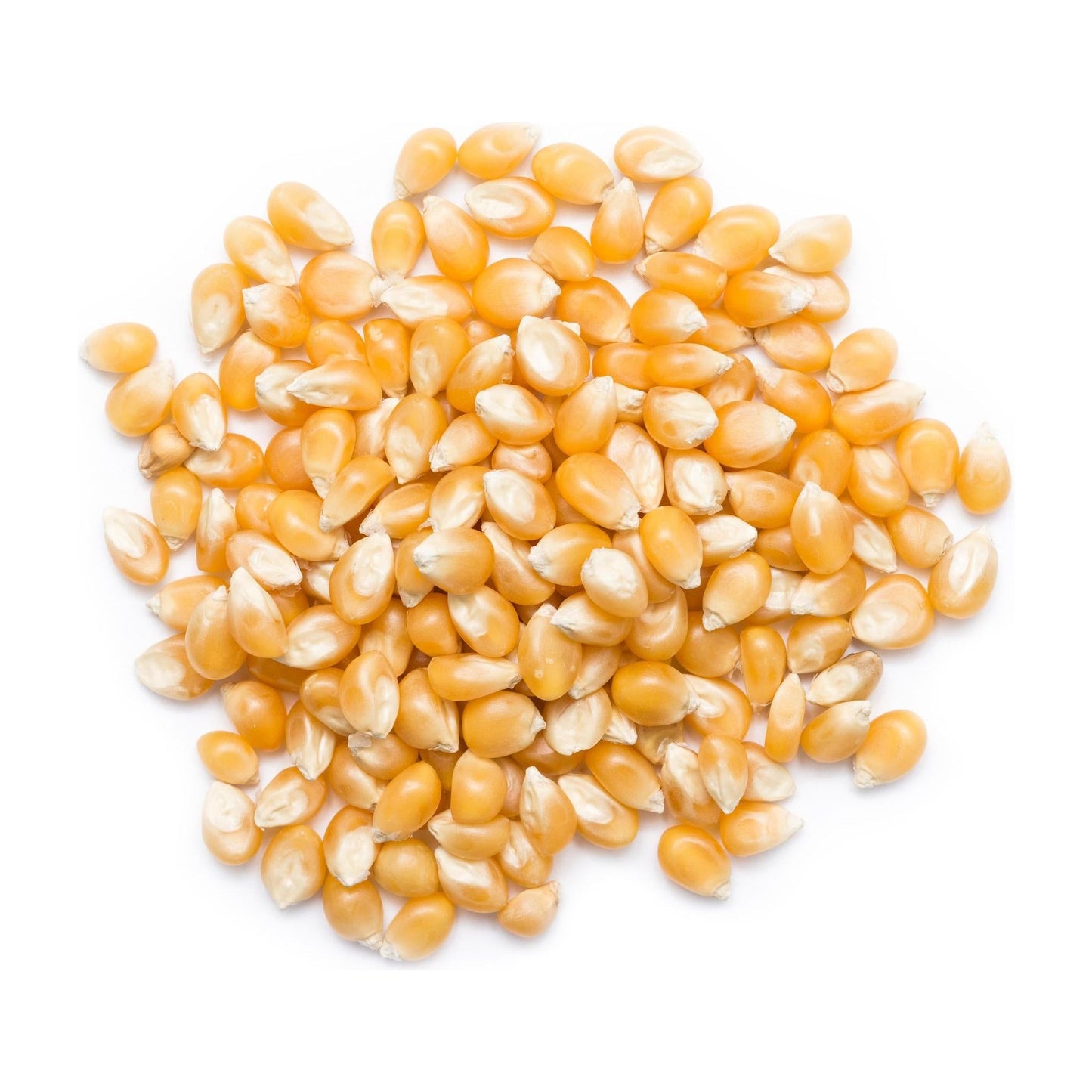 Organic Popping Corn