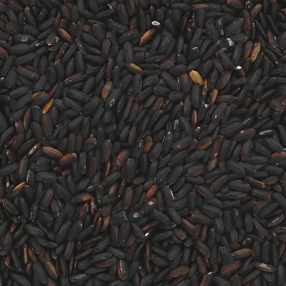 Black Rice - Nerone