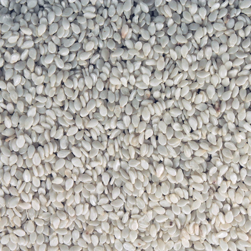 White hulled sesame seeds