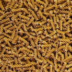 Organic Pasta Wholewheat Fusilli