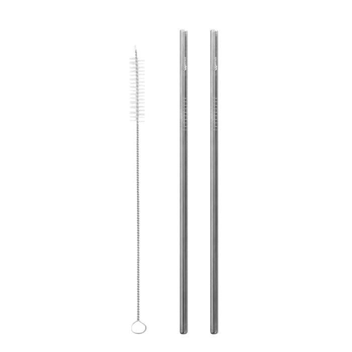 Stainless Steel Straws Set of 2 + Brush