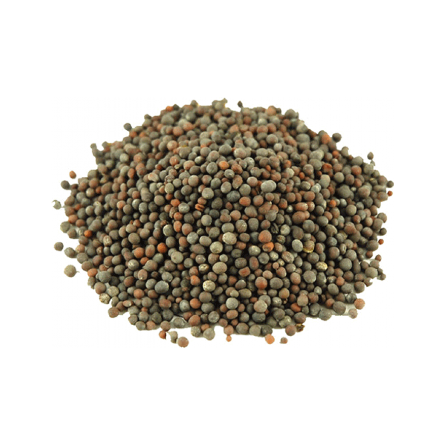 Mustard Seed Black
